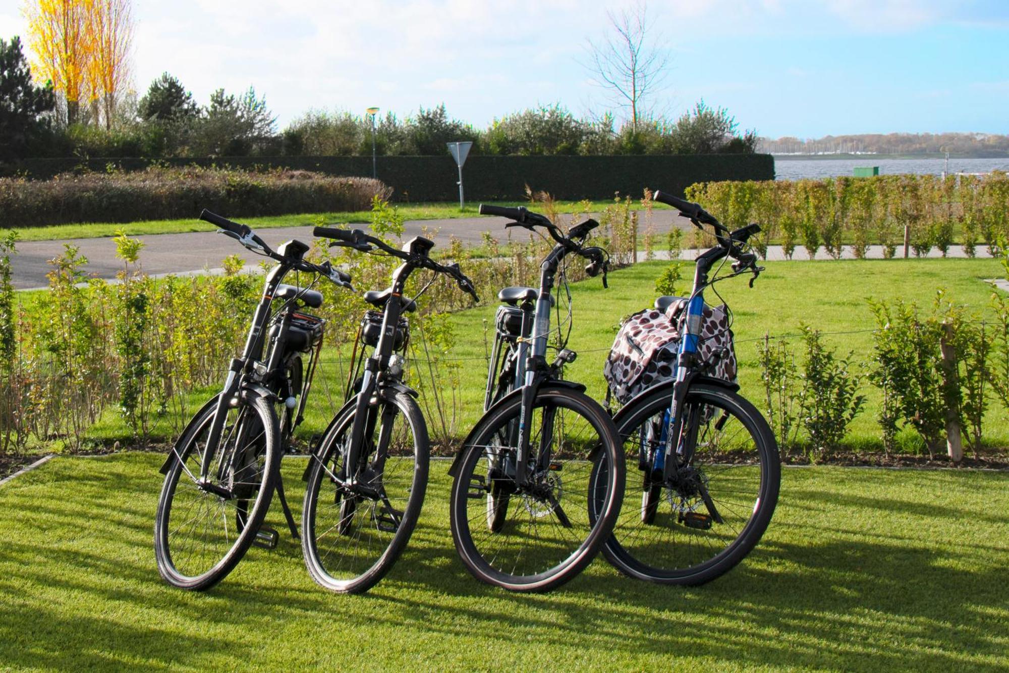 luxe Villa MaromaMistral Veerse Meer free 4 Ebikes BBQ Springkussen WIFI Kamperland Buitenkant foto